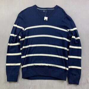 Gap Mens Sweater Large Blue White Striped V-Neck Long Sleeve 100% Cotton Preppy